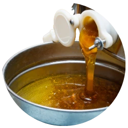 honey extraction process in madhuveda